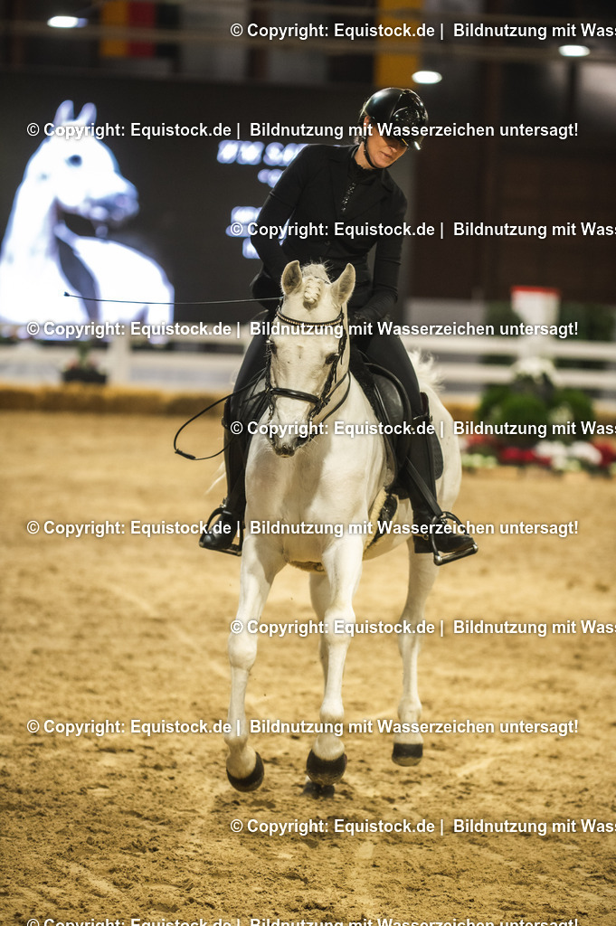 20240302_Hengstvorstellung_Marbach_TOMsPiC_1105 | equistock