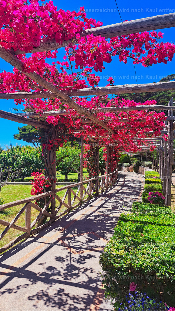Capri - Frühling | Capri ist eine traumhafte Insel im Golf von Neapel, bekannt für türkisblaues Meer, beeindruckende Felsklippen, mediterrane Landschaften und die berühmten Faraglioni. - Realisiert mit Pictrs.com