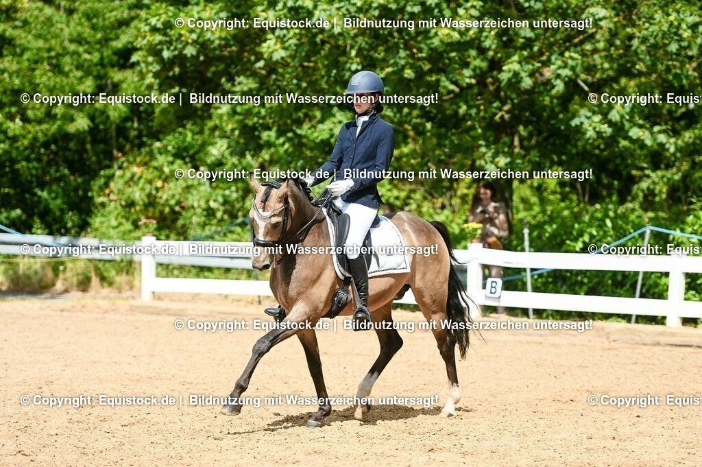 20230716_01_Dressurprüfung Kl.M_0201 | equistock