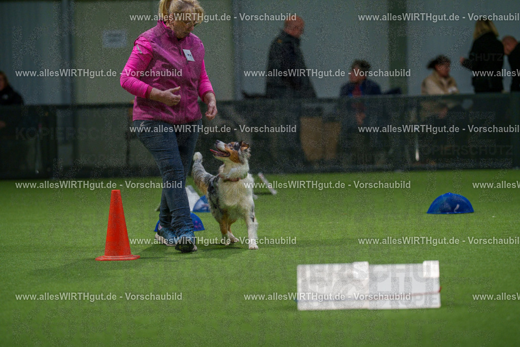 7R504106 | Professionelle Tierfotografie in Mönchengladbach von Daniel Wirth (allesWIRTHgut). Liebevolle & natürliche Bilder von Hunden & Katzen für unvergessliche Erinnerungen.