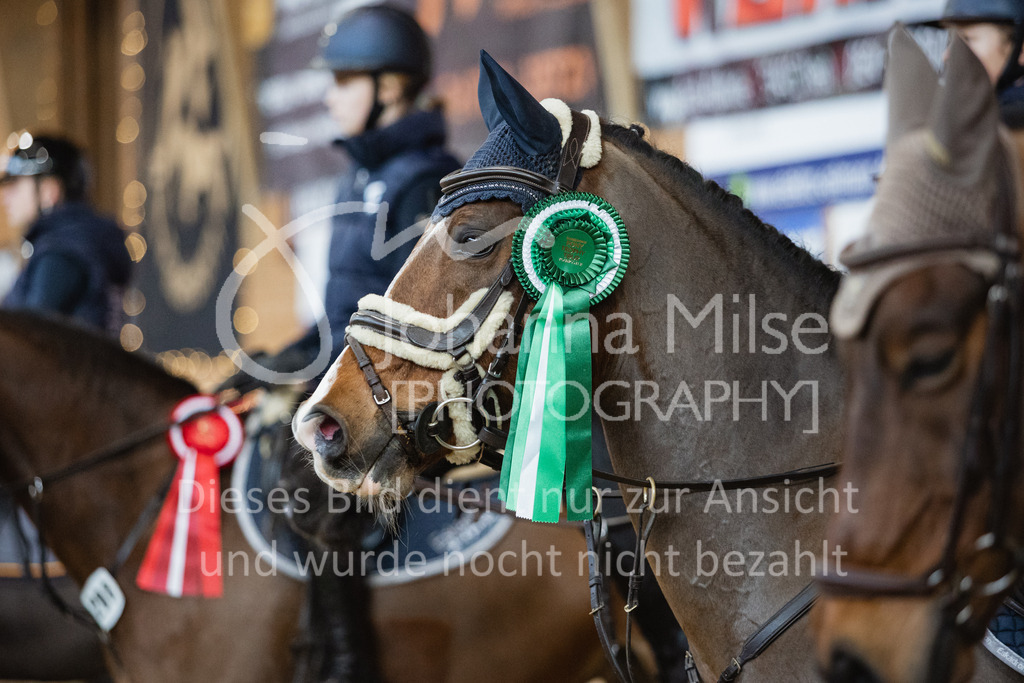 221127_Winterfestival_L-Spr_HPTTY-300 | Deine schönsten Turniermomente als professionelle Fotos! Entdecke hochwertige Pferdesport-Fotografie im Online-Shop. Jetzt Fotos finden & bestellen!