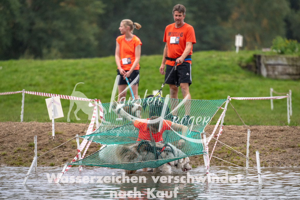 0826_ZZ91383 | kk-dogfotos