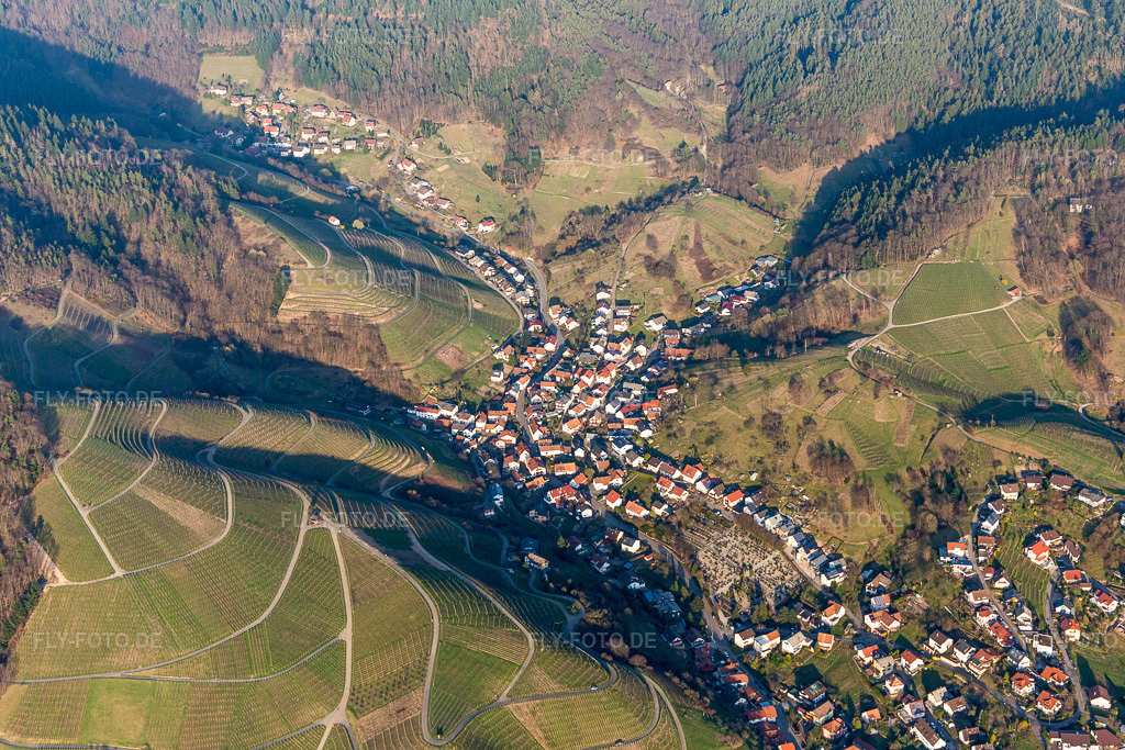 Luftbild: Weinbergen im Schwarzwald im Ortsteil Liehenbach in Bühlertal im Bundesland Baden-Württemberg in Deutschland. Foto: IMG_097729.jpg vom 16.03.2017 durch Werner Riehm/FLY-FOTO.de