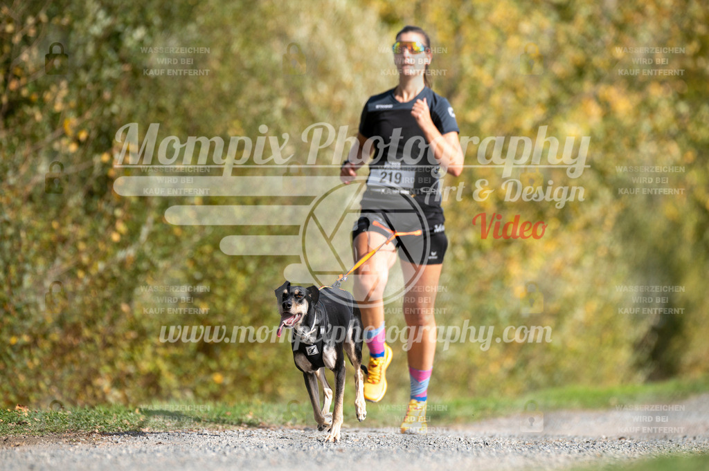 TSB_2023_E2_Canicross-21 | mompixphotography