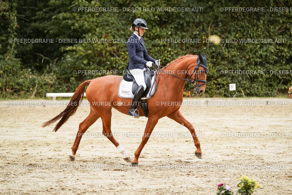 DSC00004 | Pferdegrafie