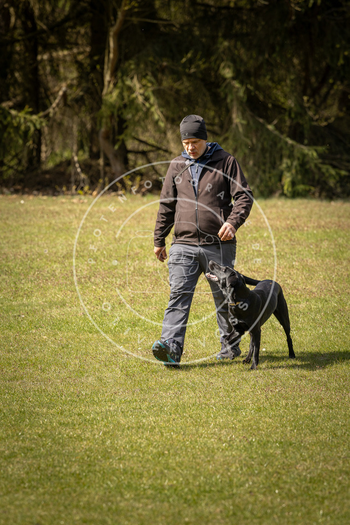 Pfotenfotografie_DV3A1249 | Hundefotografie, Tierfotograf, Pfotenfotografie, Fotoshooting Hund, Hunde Portrait, Hundesport, Hundeportraits, Heideshooting, Hunde, Sportfotograf, Hundefotograf, Turnierhundsport, THS,  - Realisiert mit Pictrs.com