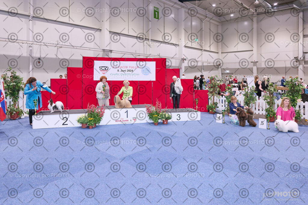 202406_ÖKV-IHA-Tulln24_NZ9_8742 | proPHOTO - Realisiert mit Pictrs.com