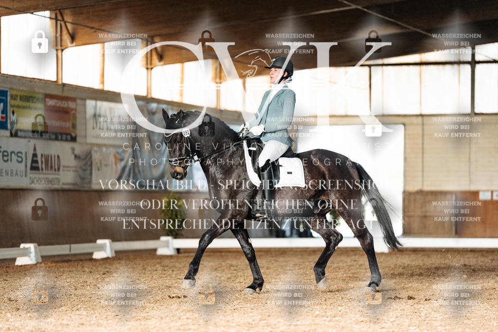 CK903209 | Turnierfotografie Pferdefotografie Trier Rheinland-Pfalz Pferdesport Reitsport Tierfotografie Sportfotografie Pferdevideo Pferdevideografie Equestrianvideography equestrianphotography  - Realisiert mit Pictrs.com