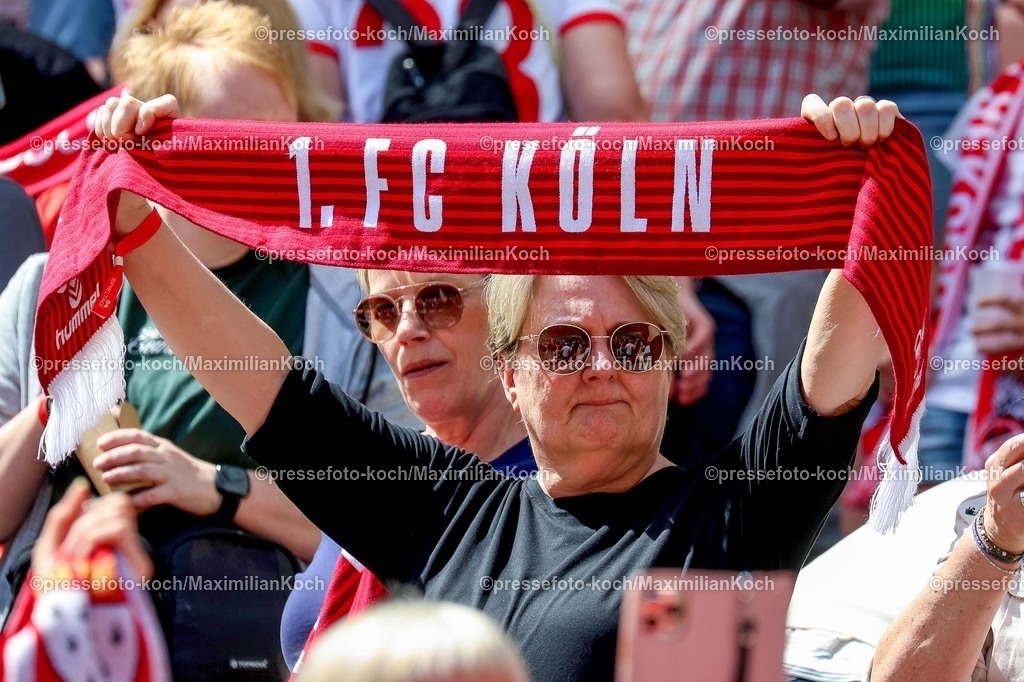 xsscx02052601067 | 02.05.2026, xsscx, Frauen Fussball, 1. FC Köln - Werder Bremen, 1. Fussball Bundesliga, 24. Spieltag, RheinEnergie-Stadion, Saison 2025 2026: Fan des 1. FC Köln vor dem Spiel DFB regulations prohibit any use of photographs as image sequences and or quasi-video. Photo: xSandraxScherningxPressefotoKochx