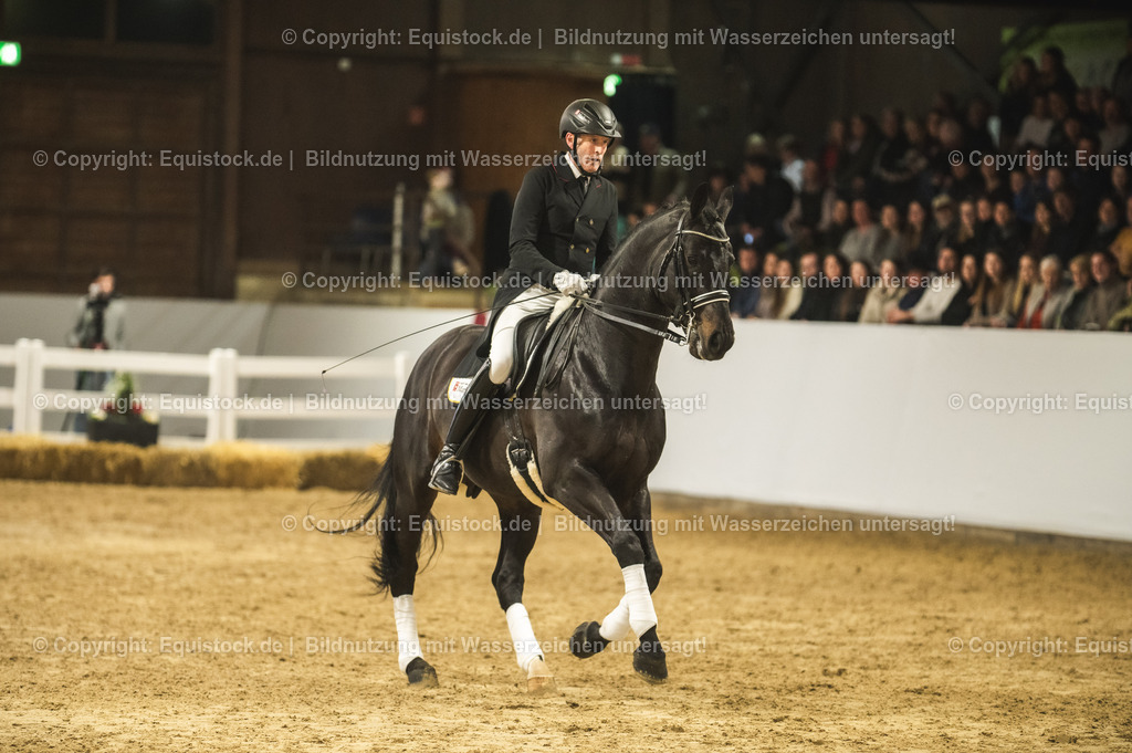 20240302_Hengstvorstellung_Marbach_TOMsPiC_1443 | equistock