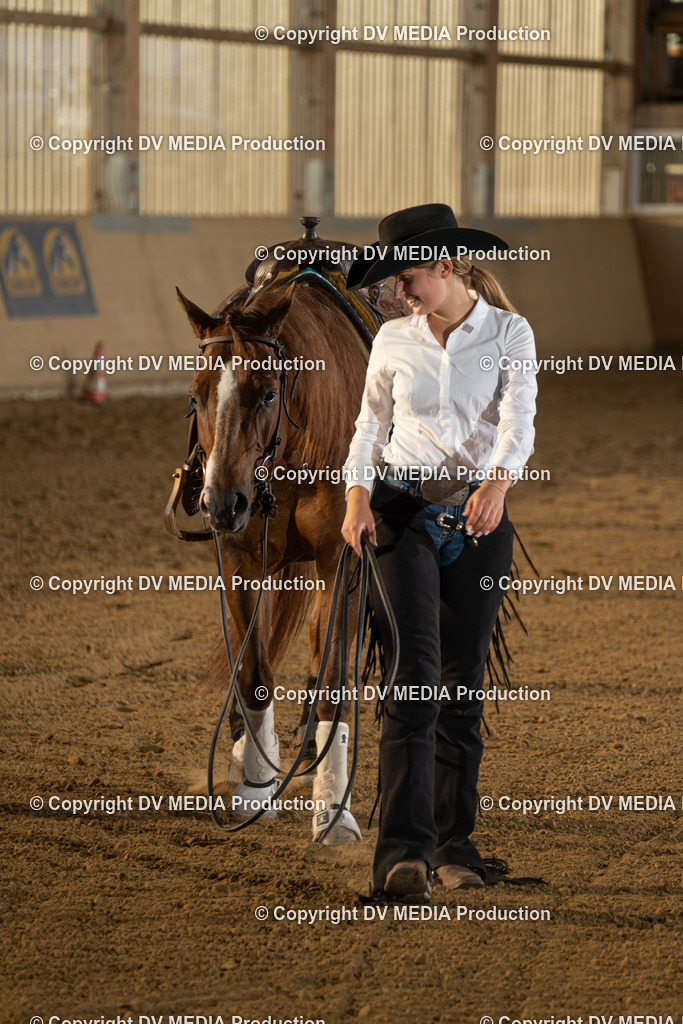 LAU02018 | dv-media-shop - Realisiert mit Pictrs.com