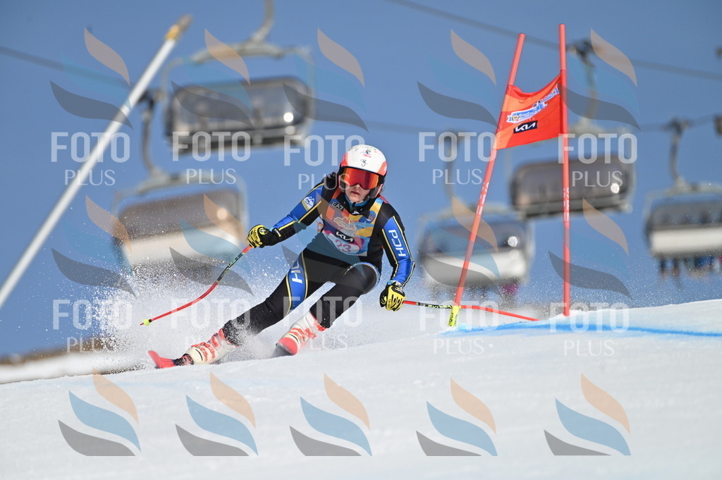 BGV_7992 | holidayphoto