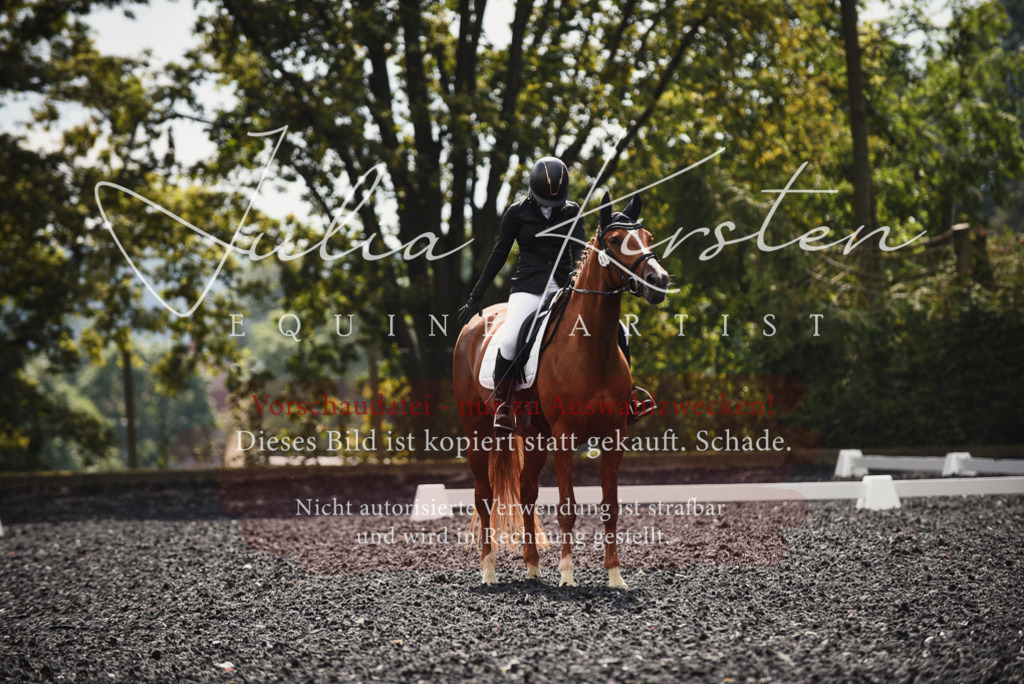 DSC_3898 | Pferde- und Turnierfotografie in Westsachsen. Pferdeportraits, Auftragszeichnungen und intuitive Kunst.