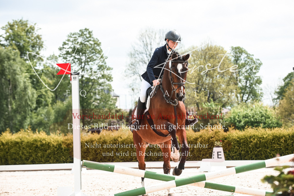 20230518_JK-Röhrsdorf-10-063 | Pferde- und Turnierfotografie in Westsachsen. Pferdeportraits, Auftragszeichnungen und intuitive Kunst.