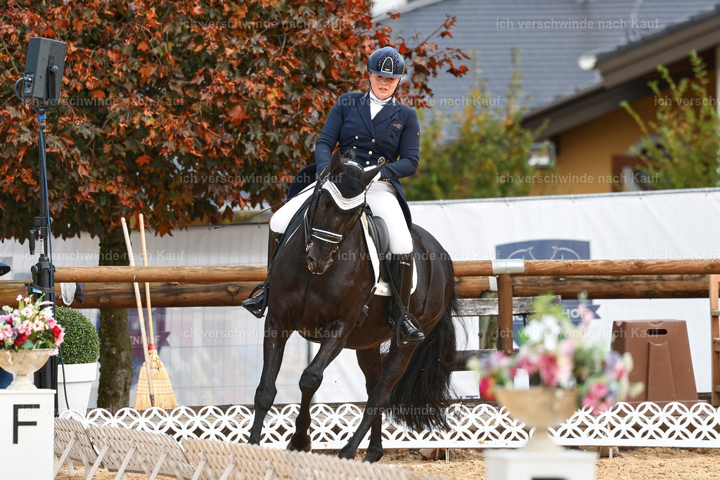 6-127-AMATUER-DRESSUR S_  -StoibPH-3414 | working equitationturnier fotograf videograf stoibphotography marixx film working equitation deutschland reitsport turnierfotografie eventfotografie equestrian events