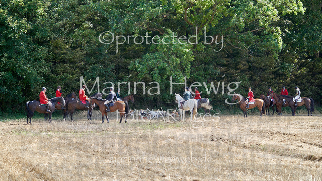 _MCH8256_Marina Hewig | Fotografie, FotoArt, PferdesportArt, Pferdesportfotografie, Landschaftsfotografie, Reisefotografie, Reise, Pferde - Realisiert mit Pictrs.com