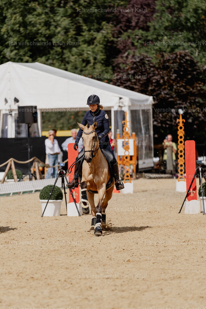 Diana11_FHC2025-3000 | working equitationturnier fotograf videograf stoibphotography marixx film working equitation deutschland reitsport turnierfotografie eventfotografie equestrian events