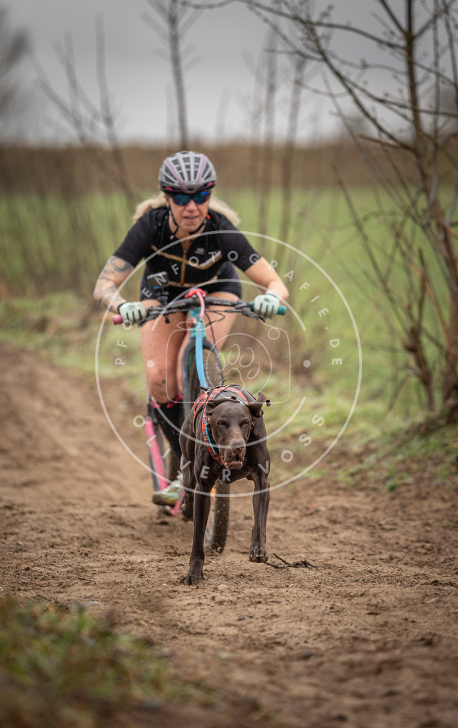 DV3A9164 | Hundefotografie, Tierfotograf, Pfotenfotografie, Fotoshooting Hund, Hunde Portrait, Hundesport, Hundeportraits, Heideshooting, Hunde, Sportfotograf, Hundefotograf, Turnierhundsport, THS,  - Realisiert mit Pictrs.com