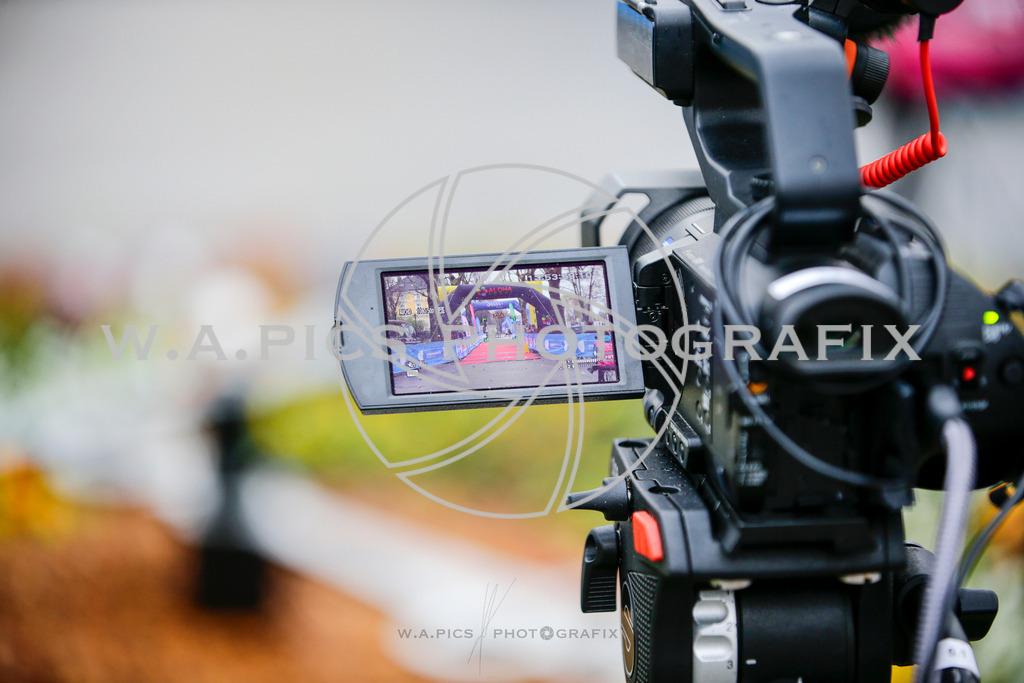 ..... | AUSTRIA, WELS, 30.03.25, ALOHA Wels Halbmarathon, Staatsmeisterschaft, Image Shows: , Foto: Wapics/Willdoner A.