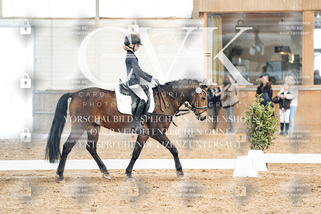 CK900406 | Turnierfotografie Pferdefotografie Trier Rheinland-Pfalz Pferdesport Reitsport Tierfotografie Sportfotografie Pferdevideo Pferdevideografie Equestrianvideography equestrianphotography  - Realisiert mit Pictrs.com