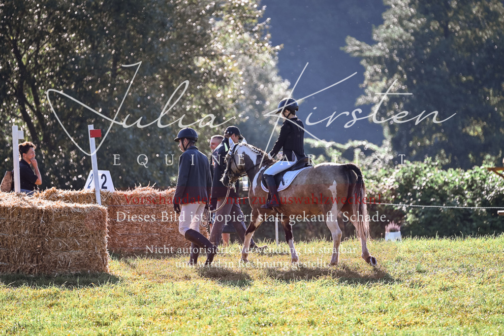 DSC_0318 | Pferde- und Turnierfotografie in Westsachsen. Pferdeportraits, Auftragszeichnungen und intuitive Kunst.