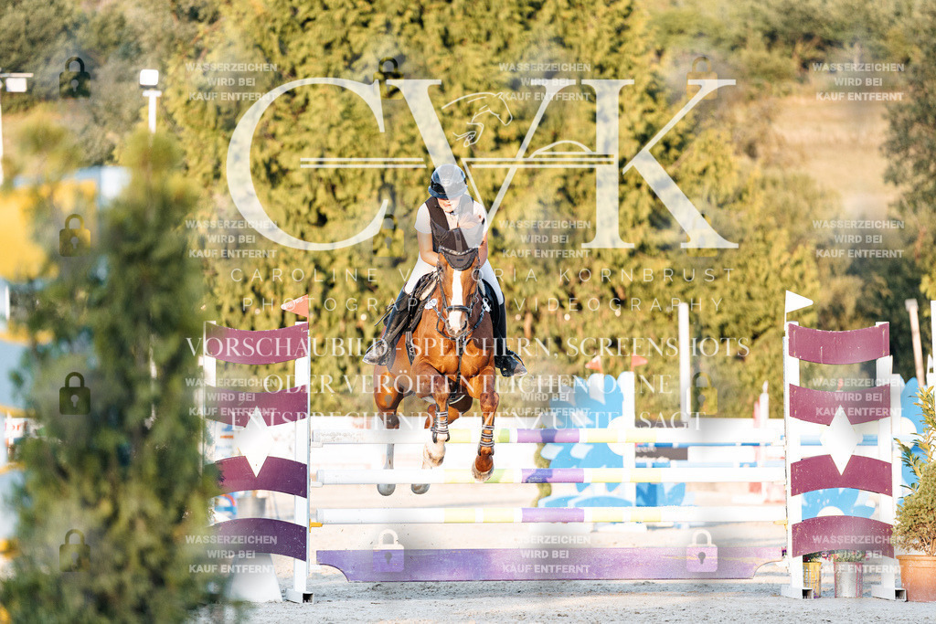 CK901093 | Turnierfotografie Pferdefotografie Trier Rheinland-Pfalz Pferdesport Reitsport Tierfotografie Sportfotografie Pferdevideo Pferdevideografie Equestrianvideography equestrianphotography  - Realisiert mit Pictrs.com