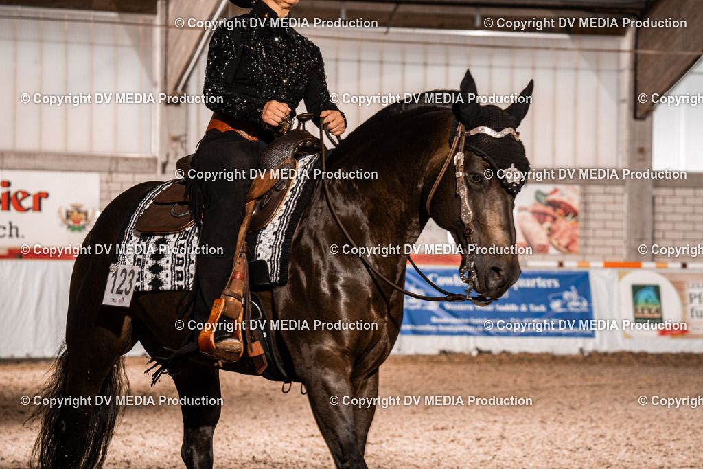 ZH300089 | dv-media-shop - Realisiert mit Pictrs.com