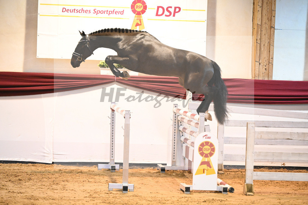 Kat-Nr. 50 v. Tobago Z_Gisler_66221231 | hf-fotografie - Realisiert mit Pictrs.com