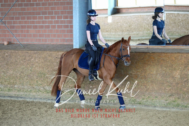 DKP42753 | Turniersportfotografie; Pferdefotografie; Dressurfotografie