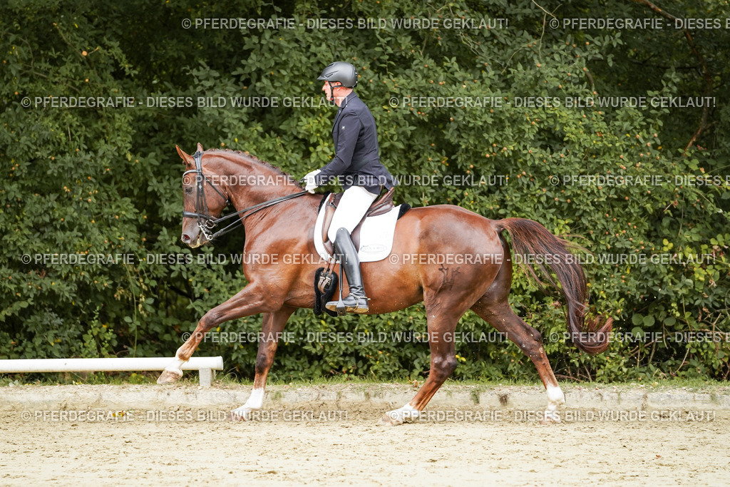 DSC03732 | Pferdegrafie