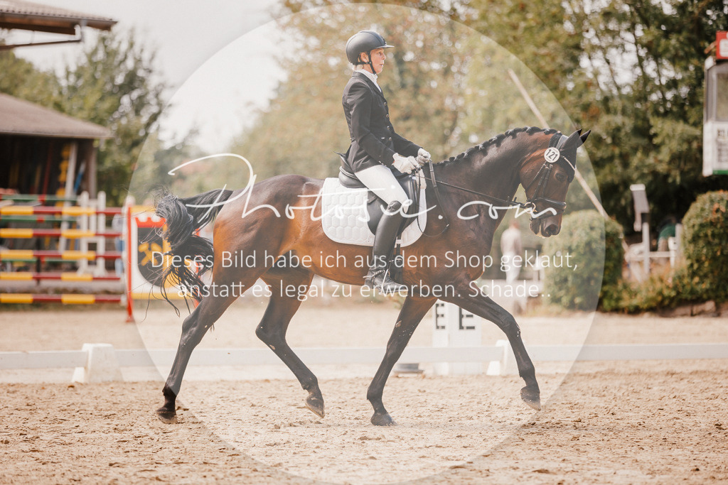 3I6A6238 | Stimmungsvolle Portraits und Reitsportfotografie im Ruhrgebiet und im Münsterland.

Pferdefotografie, Hundefotografie, Tierfotografie, Reportagen, Portraits von Tier und Mensch, Turnierfotografie in Bochum, Recklinghausen, Marl, Haltern am See, Dülmen.. - Realisiert mit Pictrs.com