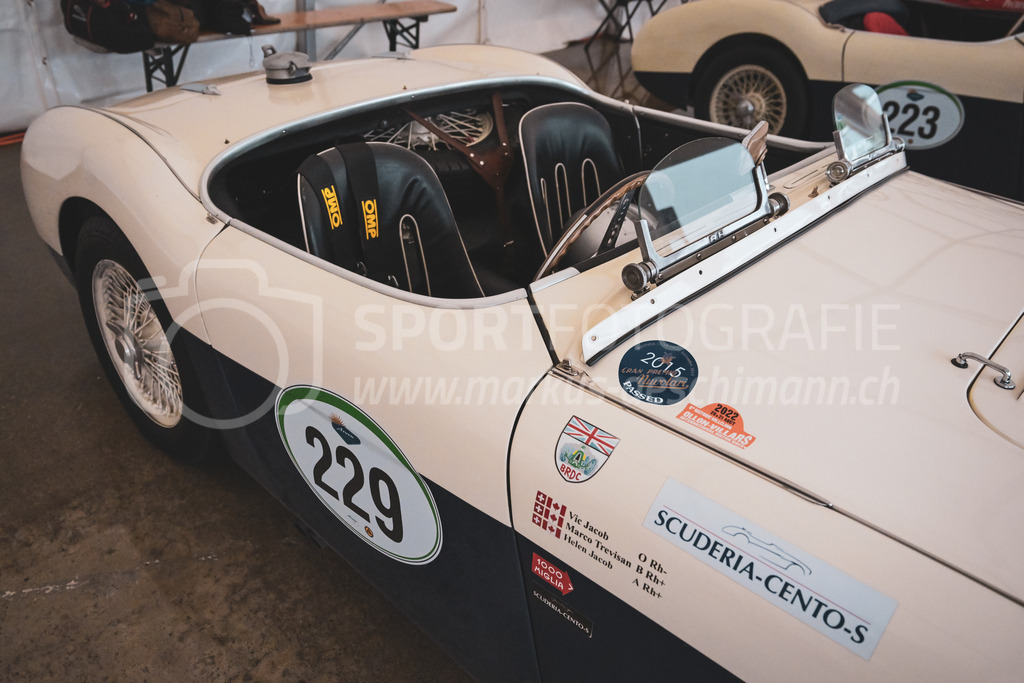 21. Arosa ClassicCar 2025 - 5. September 2025 | Der Austin Healey 100S aus dem Jahre 1955 mit Startnummer 229 von Vic Jacob aus S-chanf (SUI) am Arosa ClassicCar 2025 in der Kategorie Classic Trophy..@arosaclassiccar, @arosa.official, #arosaclassiccar, #arosa, #76curves, #classiccarBild: Sportfotografie Markus Aeschimann | www.markus-aeschimann.ch - Realisiert mit Pictrs.com