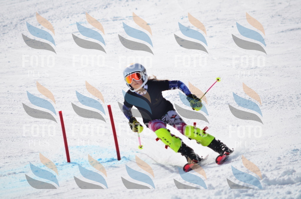 C9990 | holidayphoto