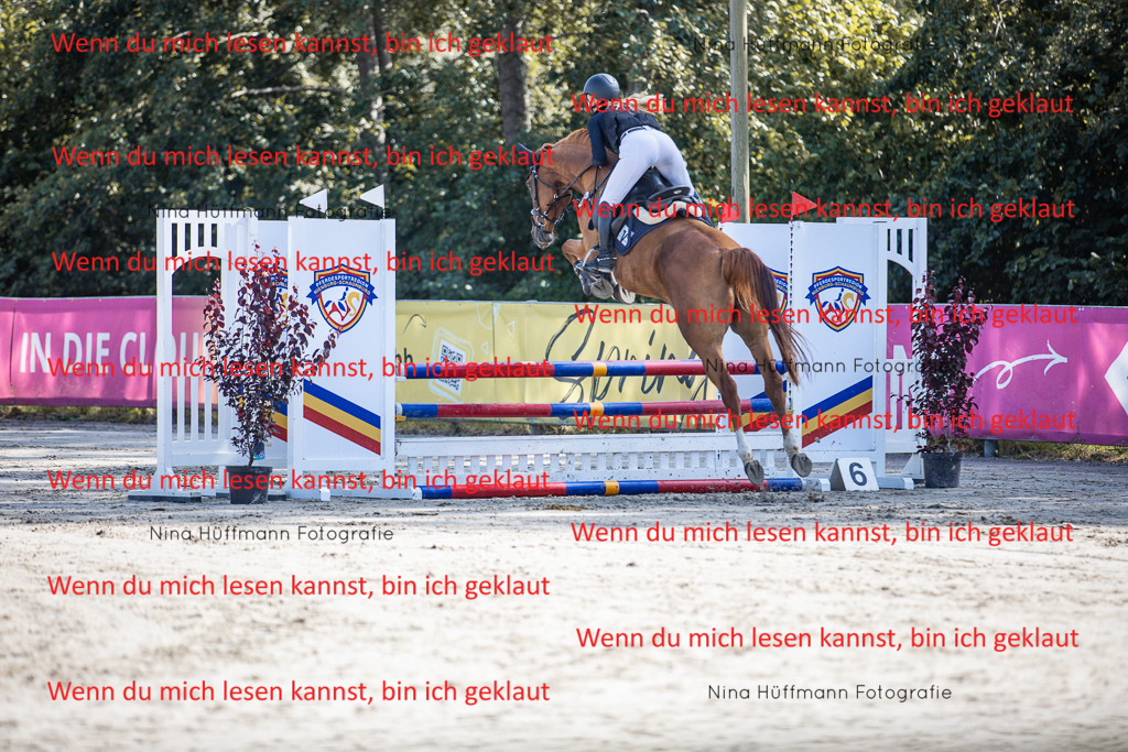 BK1A7022 | Turnierbilder Turnierfotos Nina Hüffmann Turnierfotografie Pferdefotografie Tierzeichnung Haustierzeichnung Pferdezeichnung Hundezeichnung Videograf  - Realisiert mit Pictrs.com