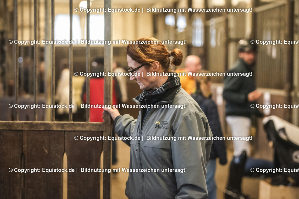 20240302_Hengstvorstellung_Marbach_TOMsPiC_0046 | equistock