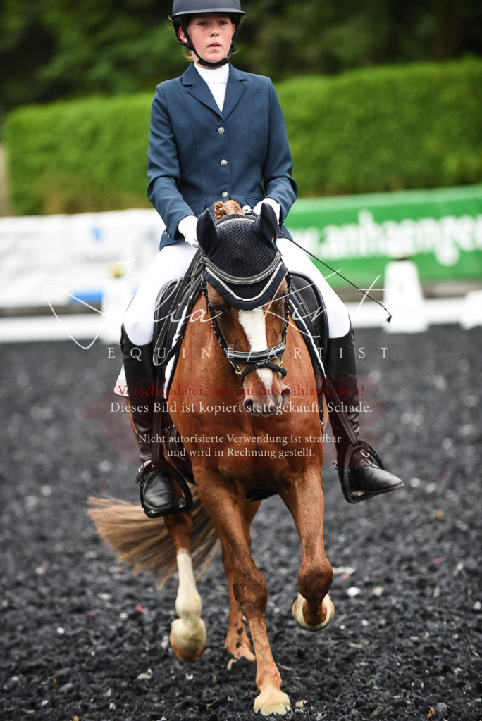 DSC_2839 | Pferde- und Turnierfotografie in Westsachsen. Pferdeportraits, Auftragszeichnungen und intuitive Kunst.