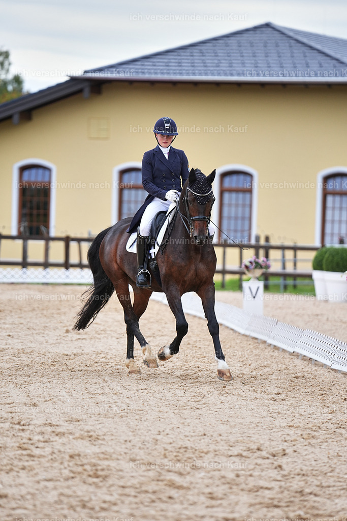 8_2-056-DRESSUR S_  -Marixx-4599 | working equitationturnier fotograf videograf stoibphotography marixx film working equitation deutschland reitsport turnierfotografie eventfotografie equestrian events