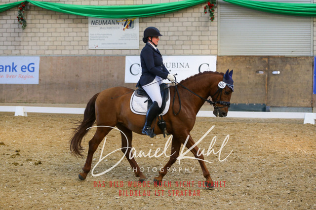 IMG_2691 | Turnierfotos kaufen im Webshop von Daniel Kuhl Photography – entdecke professionelle Reitsportfotos aus Turnieren & Events. Hochwertige Turnierbilder online bestellen & sichern. Jetzt Fotos von Reitsportturnieren kaufen!