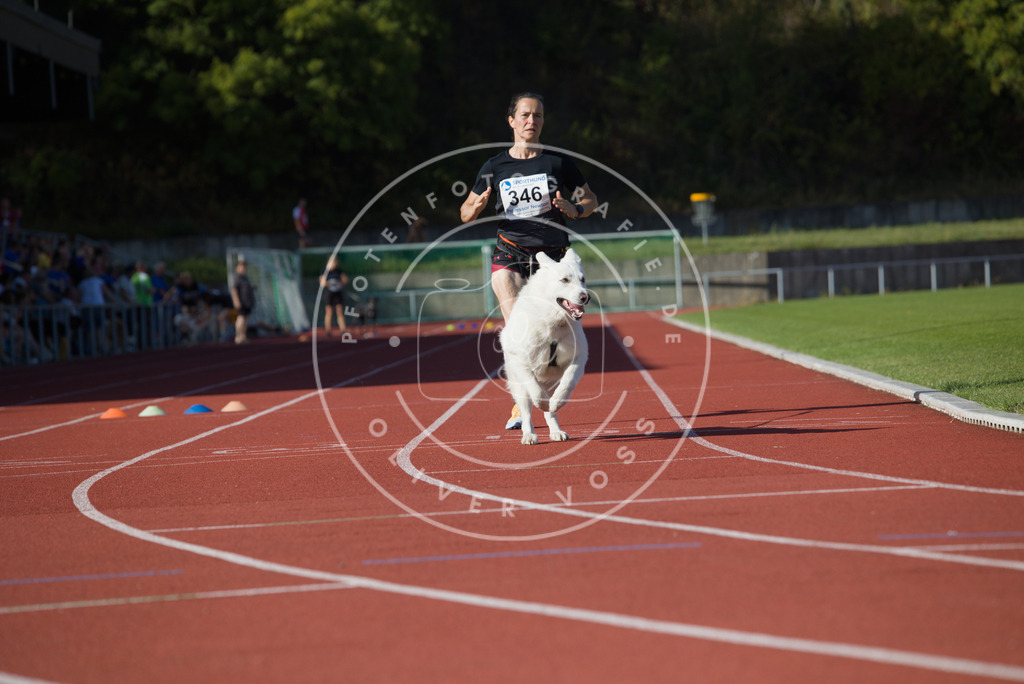 0L8A9397 | Hundefotografie, Tierfotograf, Pfotenfotografie, Fotoshooting Hund, Hunde Portrait, Hundesport, Hundeportraits, Heideshooting, Hunde, Sportfotograf, Hundefotograf, Turnierhundsport, THS,  - Realisiert mit Pictrs.com
