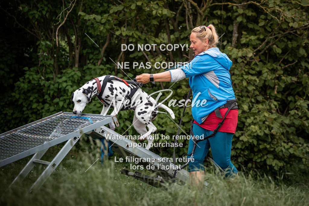 nelerasche_So-funtrail_79 | nelerasche