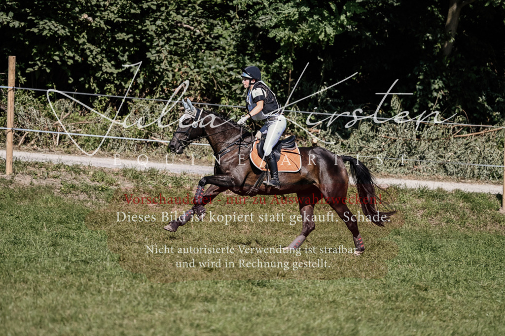 DSC_1779 | Pferde- und Turnierfotografie in Westsachsen. Pferdeportraits, Auftragszeichnungen und intuitive Kunst.