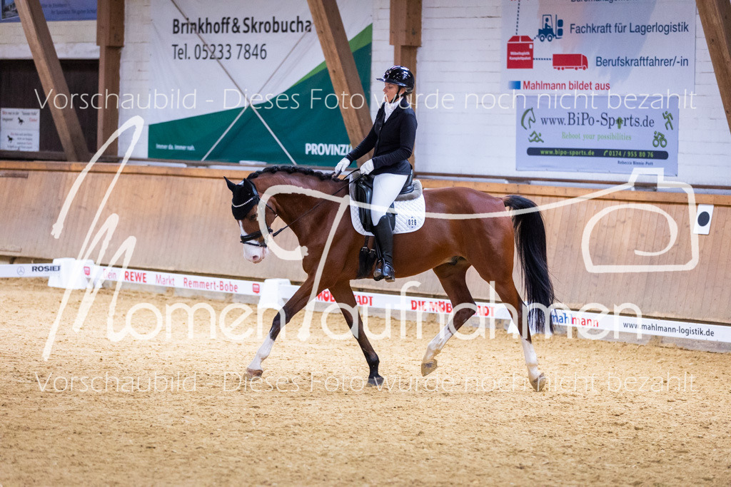 Sth-A-Dre-2St-066 | MomenTaufnahmen Pferdesportfotos