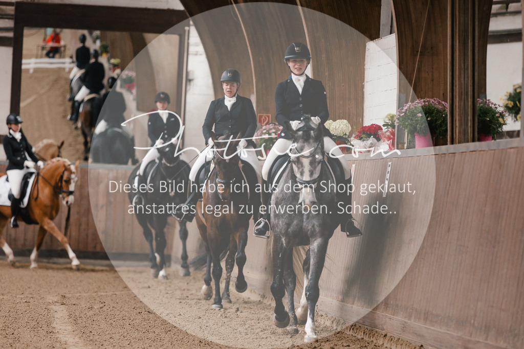 3I6A7051 | Stimmungsvolle Portraits und Reitsportfotografie im Ruhrgebiet und im Münsterland.

Pferdefotografie, Hundefotografie, Tierfotografie, Reportagen, Portraits von Tier und Mensch, Turnierfotografie in Bochum, Recklinghausen, Marl, Haltern am See, Dülmen.. - Realisiert mit Pictrs.com