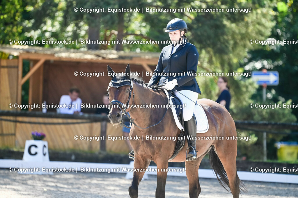 20230908_06_Dressur-L-Trense_0538 | equistock