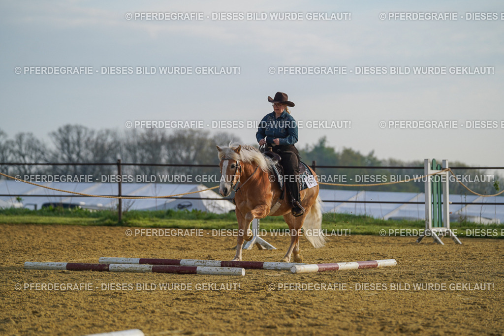 DSC00365 | Pferdegrafie