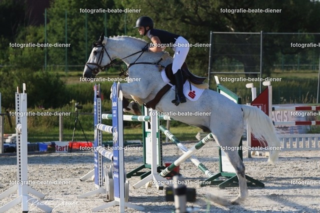 OHT 2022 Röhlingen (186) | Fotografie, Tiere, Hunde, Katzen, Pferde, Sportfotografie, Fotosession, Tierfotografie, Turnierfotografie, Fotografin, Fotograf - Realisiert mit Pictrs.com
