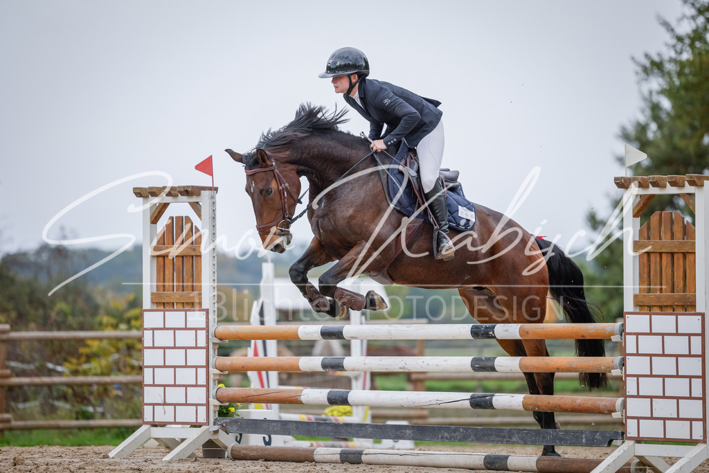 20251012-_3LI3899 | Tierfotografie Pferde, Hunde, Katzen, Haustiere.
Turnierfotografie Reitturniere, Reiten, Springreiten, Dressur in Hanau, dem Main-Kinzig-Kreis und dem Rhein-Main- Gebiet um Frankfurt