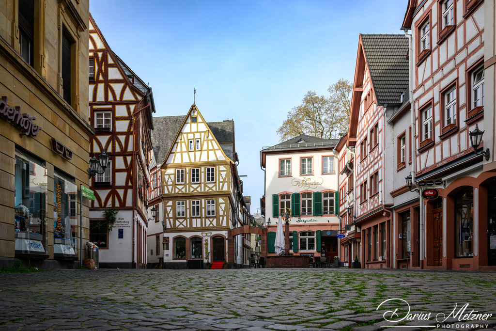 DSC_9309 | Fotografien, Fotos und Bilder aus Mainz, Frankfurt, Wiesbaden und anderen Orten auf der Welt - Fotografiert von Darius Metzner