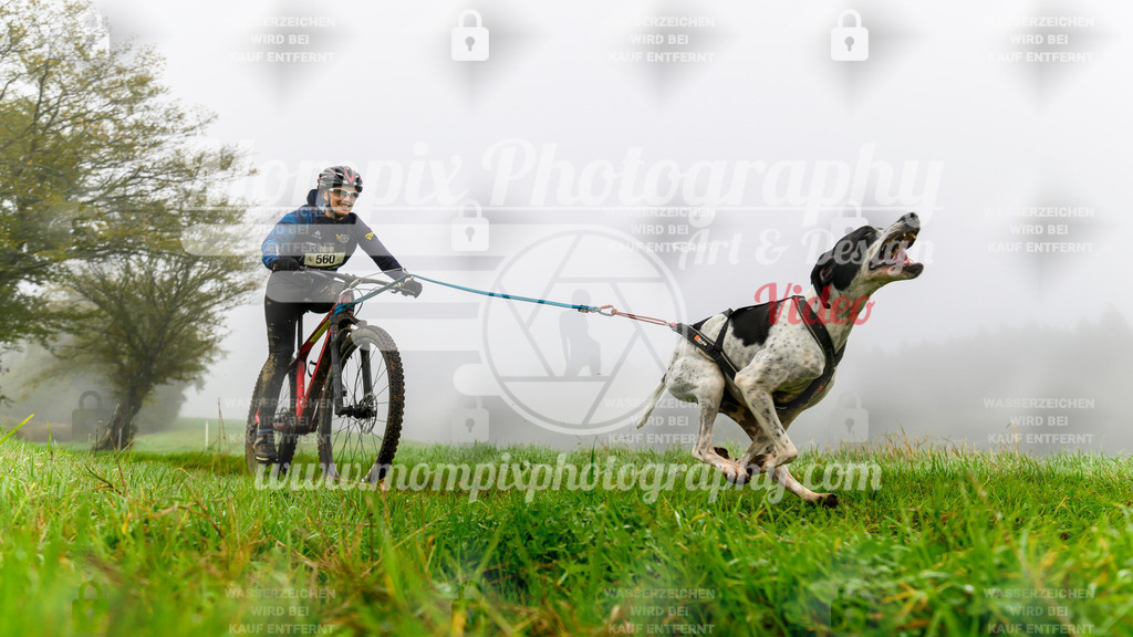 MompixPhotography_20TSB_E5_Bike-28 | PayLife