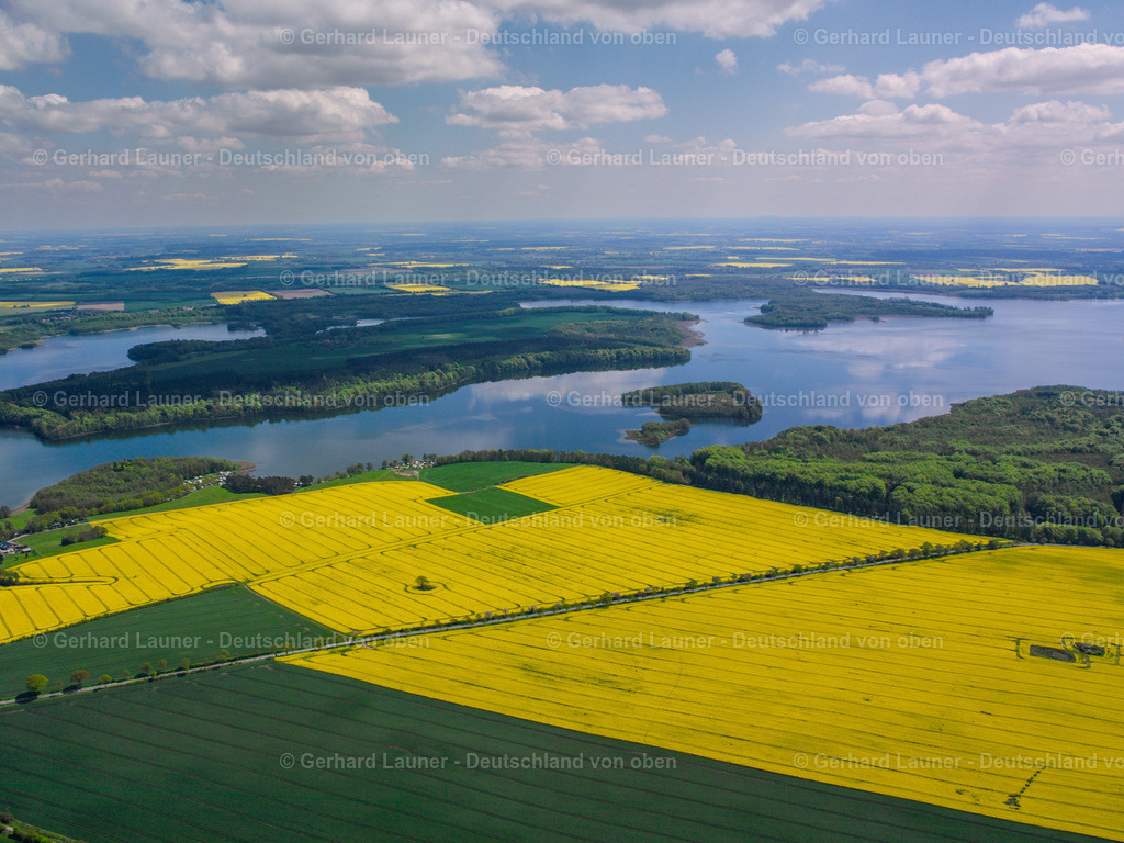 2510156 | Rapsfelder am Schaal See
